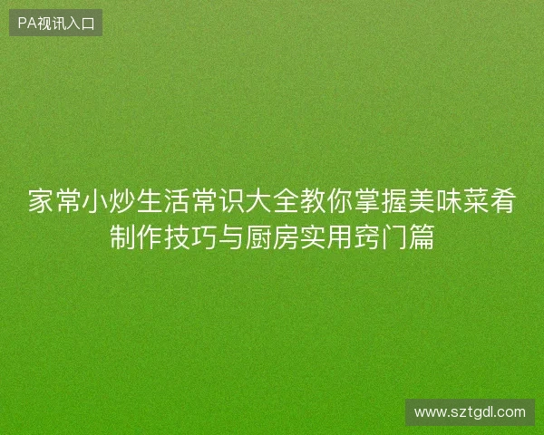 家常小炒生活常识大全教你掌握美味菜肴制作技巧与厨房实用窍门篇